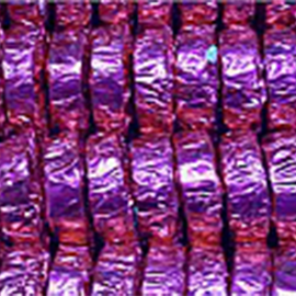 Chocolate Coins Chocolate Coins